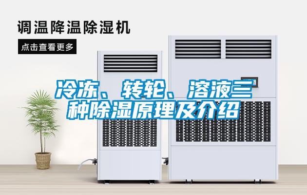 冷凍、轉(zhuǎn)輪、溶液三種除濕原理及介紹