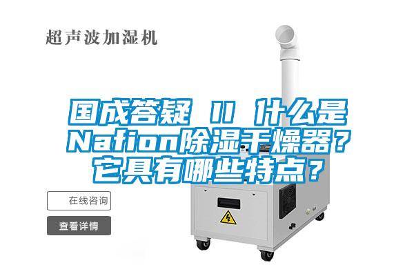 國成答疑 II 什么是Nafion除濕干燥器？它具有哪些特點？