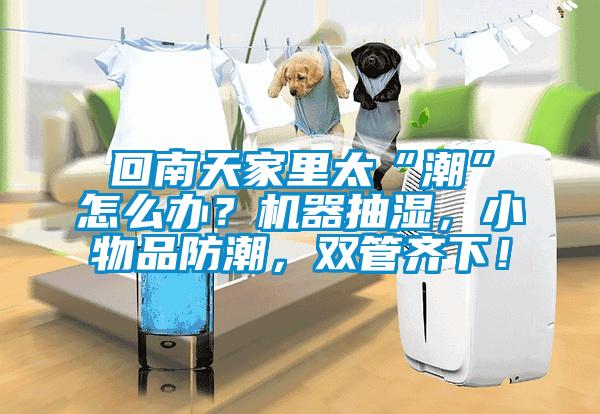 回南天家里太“潮”怎么辦？機(jī)器抽濕，小物品防潮，雙管齊下！