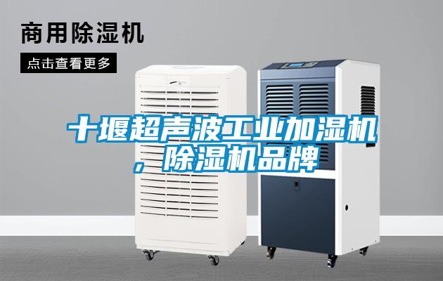 十堰超聲波工業(yè)加濕機(jī)，除濕機(jī)品牌