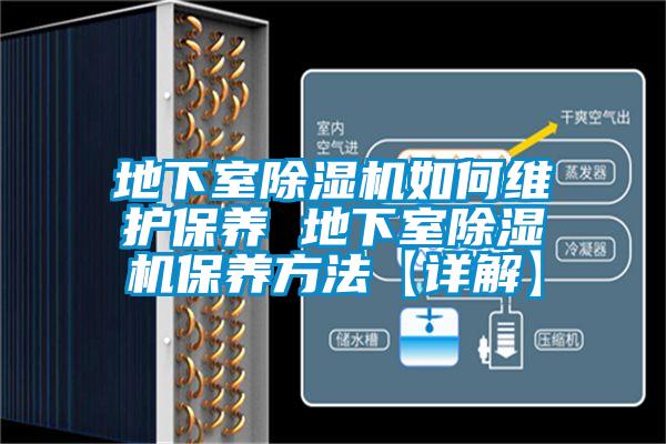 地下室除濕機如何維護(hù)保養(yǎng) 地下室除濕機保養(yǎng)方法【詳解】