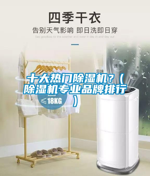 十大熱門除濕機(jī)？(除濕機(jī)專業(yè)品牌排行)