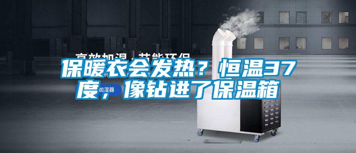 保暖衣會(huì)發(fā)熱？恒溫37度，像鉆進(jìn)了保溫箱