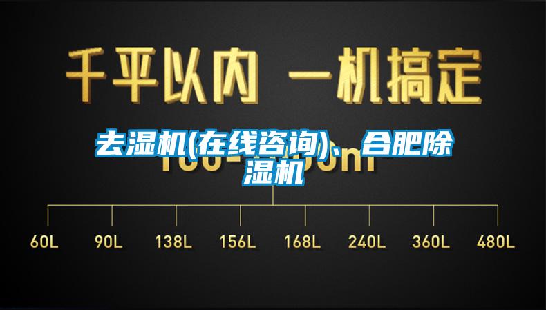 去濕機(jī)(在線咨詢)、合肥除濕機(jī)