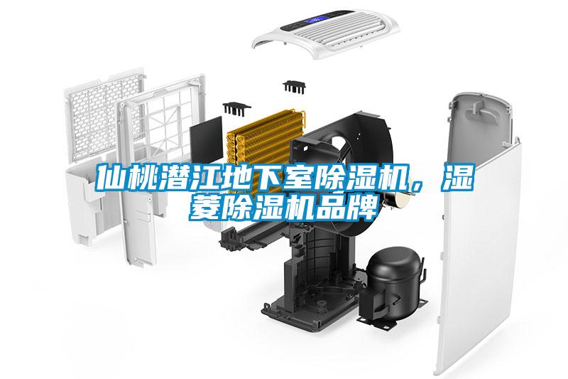 仙桃潛江地下室除濕機(jī)，濕菱除濕機(jī)品牌