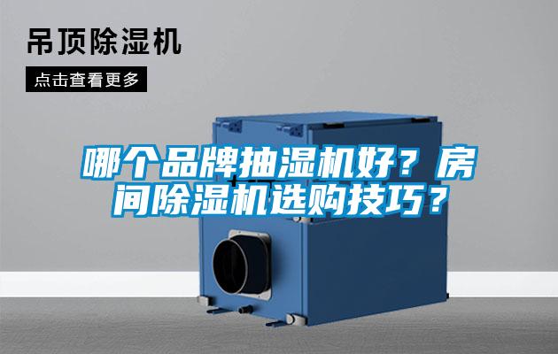 哪個(gè)品牌抽濕機(jī)好？房間除濕機(jī)選購(gòu)技巧？