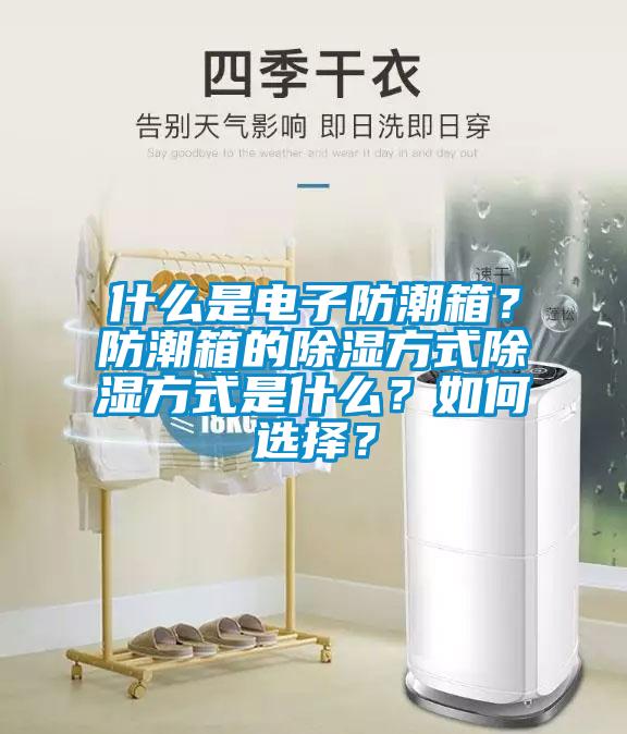 什么是電子防潮箱？防潮箱的除濕方式除濕方式是什么？如何選擇？