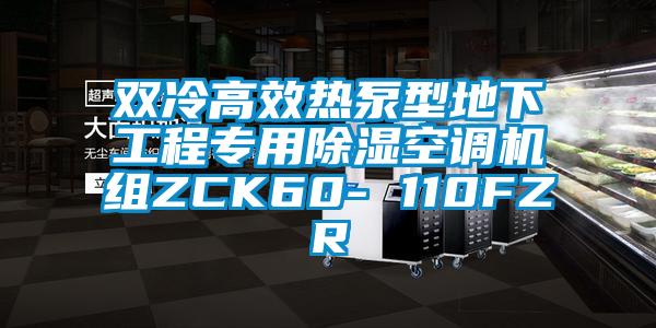 雙冷高效熱泵型地下工程專用除濕空調(diào)機(jī)組ZCK60- 110FZR