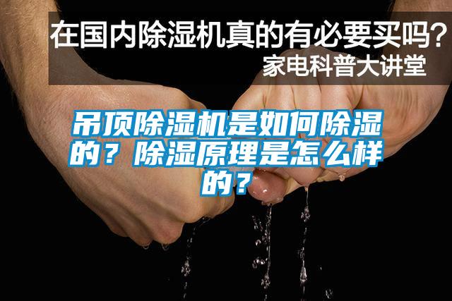 吊頂除濕機(jī)是如何除濕的？除濕原理是怎么樣的？