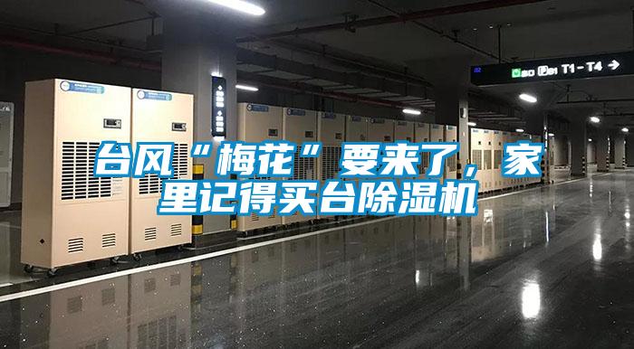臺風(fēng)“梅花”要來了，家里記得買臺除濕機