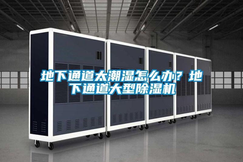 地下通道太潮濕怎么辦？地下通道大型除濕機(jī)