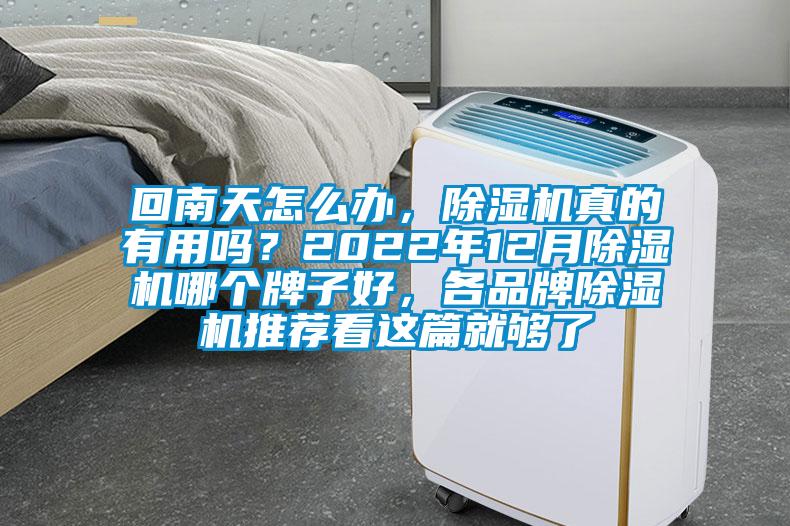 回南天怎么辦，除濕機真的有用嗎？2022年12月除濕機哪個牌子好，各品牌除濕機推薦看這篇就夠了