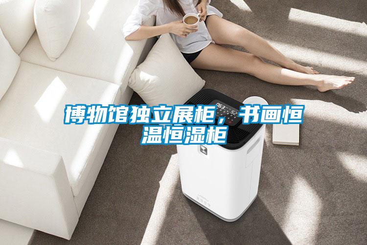 博物館獨立展柜，書畫恒溫恒濕柜