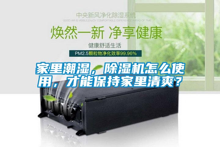 家里潮濕，除濕機(jī)怎么使用，才能保持家里清爽？