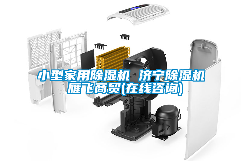 小型家用除濕機(jī) 濟(jì)寧除濕機(jī) 雁飛商貿(mào)(在線咨詢)