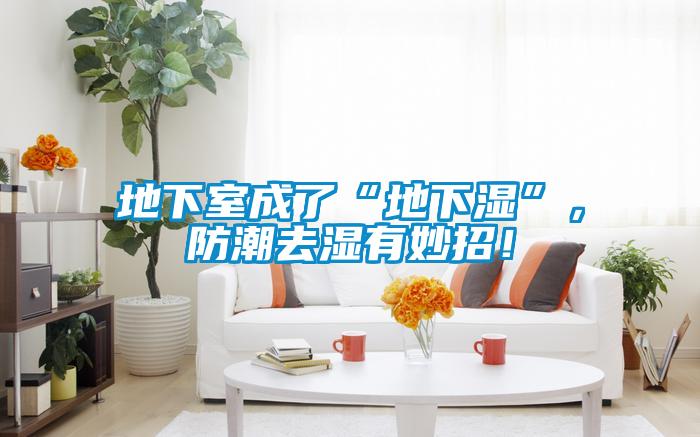 地下室成了“地下濕”，防潮去濕有妙招！