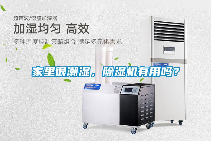 家里很潮濕，除濕機有用嗎？
