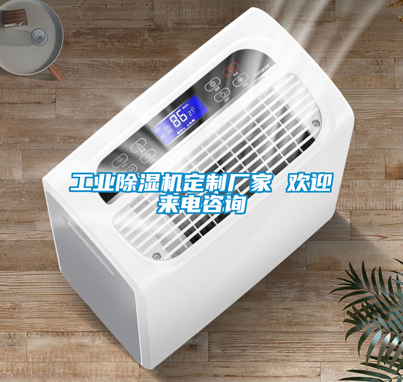 工業(yè)除濕機(jī)定制廠家 歡迎來電咨詢