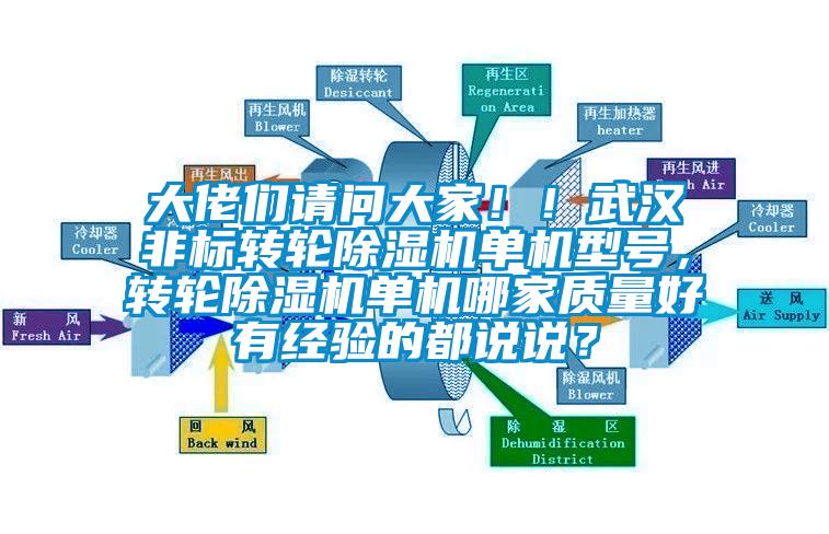 大佬們請問大家！！武漢非標(biāo)轉(zhuǎn)輪除濕機(jī)單機(jī)型號(hào)，轉(zhuǎn)輪除濕機(jī)單機(jī)哪家質(zhì)量好有經(jīng)驗(yàn)的都說說？