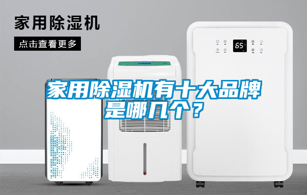 家用除濕機(jī)有十大品牌是哪幾個(gè)？