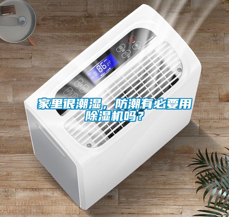 家里很潮濕，防潮有必要用除濕機嗎？