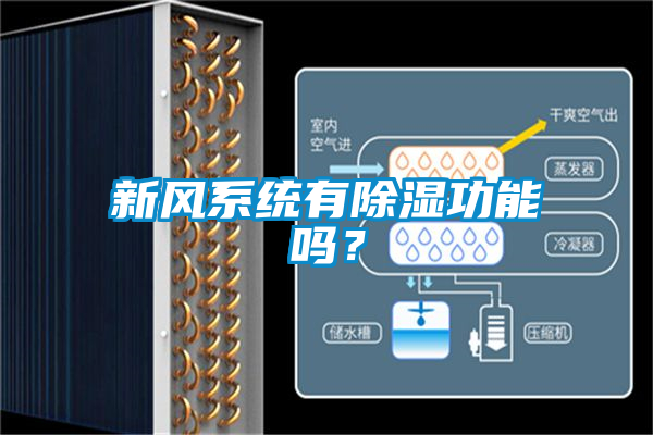新風(fēng)系統(tǒng)有除濕功能嗎？