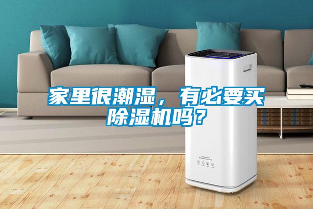 家里很潮濕，有必要買除濕機(jī)嗎？