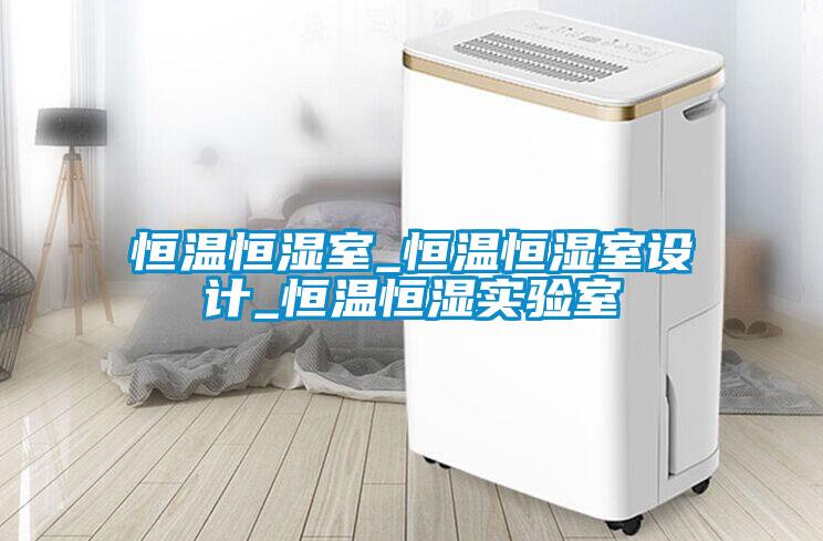 恒溫恒濕室_恒溫恒濕室設(shè)計_恒溫恒濕實(shí)驗室