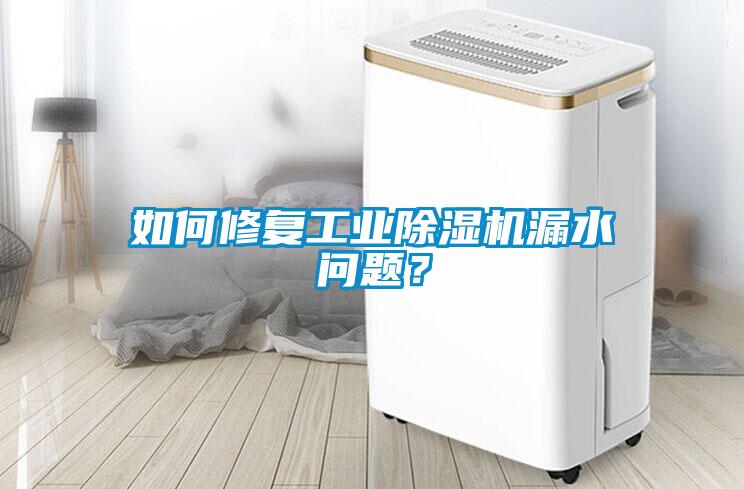 如何修復工業(yè)除濕機漏水問題？