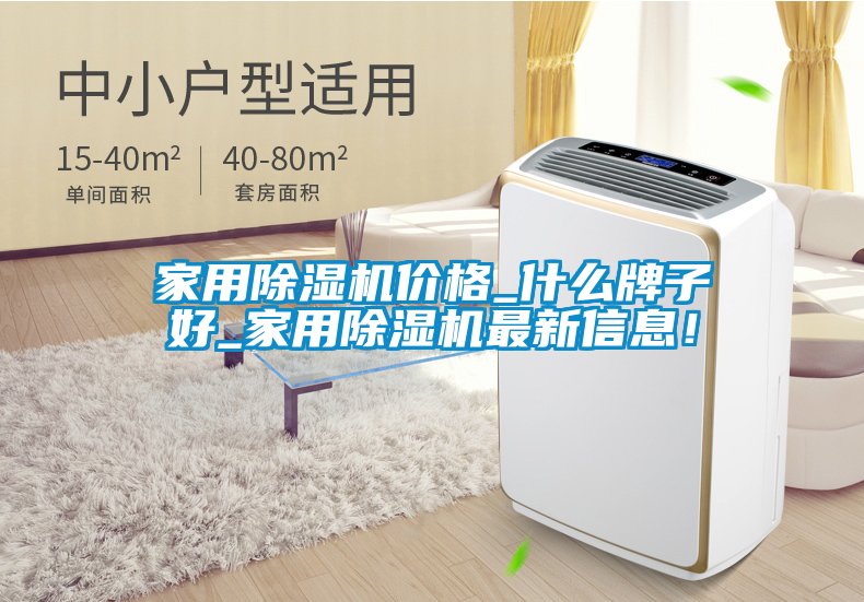 家用除濕機(jī)價(jià)格_什么牌子好_家用除濕機(jī)最新信息！