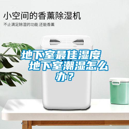 地下室最佳濕度  地下室潮濕怎么辦？
