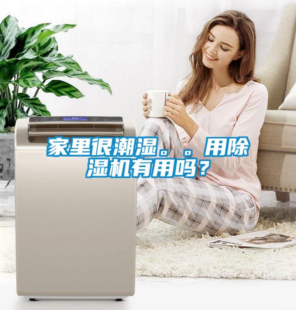 家里很潮濕。。用除濕機(jī)有用嗎？