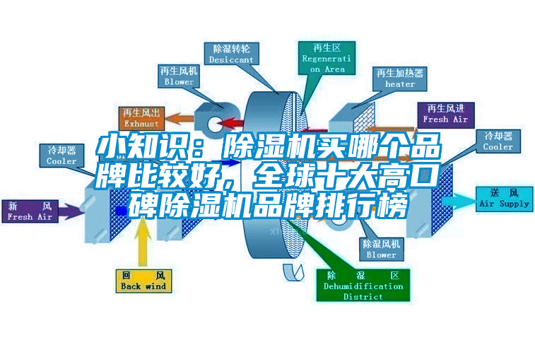 小知識(shí)：除濕機(jī)買哪個(gè)品牌比較好，全球十大高口碑除濕機(jī)品牌排行榜