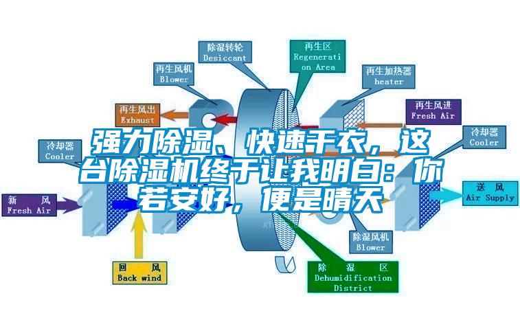 強(qiáng)力除濕、快速干衣，這臺(tái)除濕機(jī)終于讓我明白：你若安好，便是晴天