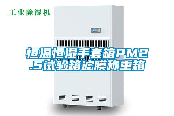 恒溫恒濕手套箱PM2.5試驗(yàn)箱濾膜稱(chēng)重箱
