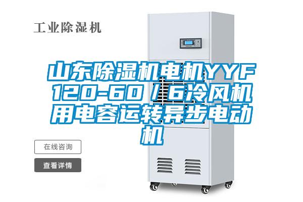 山東除濕機電機YYF120-60／6冷風機用電容運轉(zhuǎn)異步電動機