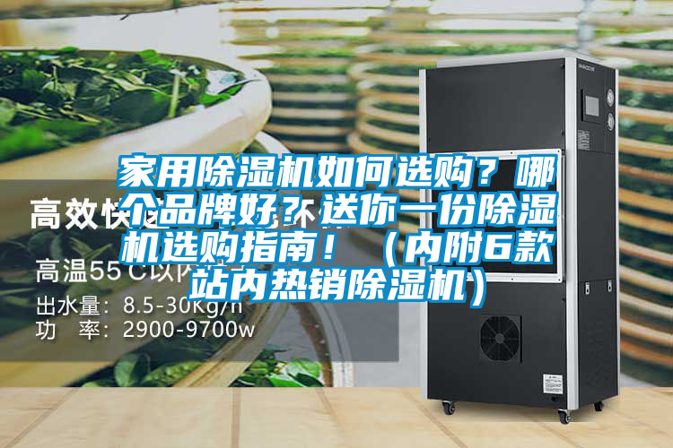 家用除濕機(jī)如何選購？哪個品牌好？送你一份除濕機(jī)選購指南?。▋?nèi)附6款站內(nèi)熱銷除濕機(jī)）