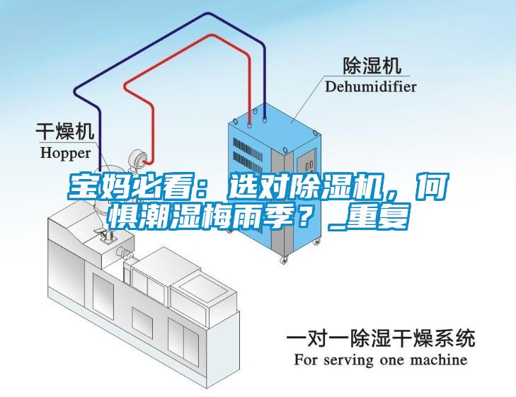 寶媽必看：選對除濕機，何懼潮濕梅雨季？_重復