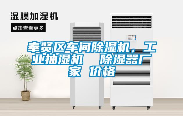 奉賢區(qū)車間除濕機，工業(yè)抽濕機  除濕器廠家 價格