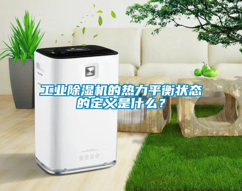 工業(yè)除濕機的熱力平衡狀態(tài)的定義是什么？