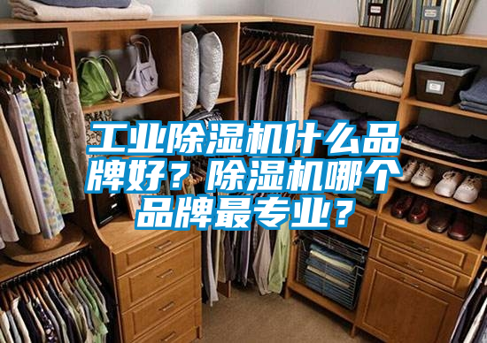 工業(yè)除濕機(jī)什么品牌好？除濕機(jī)哪個(gè)品牌最專業(yè)？