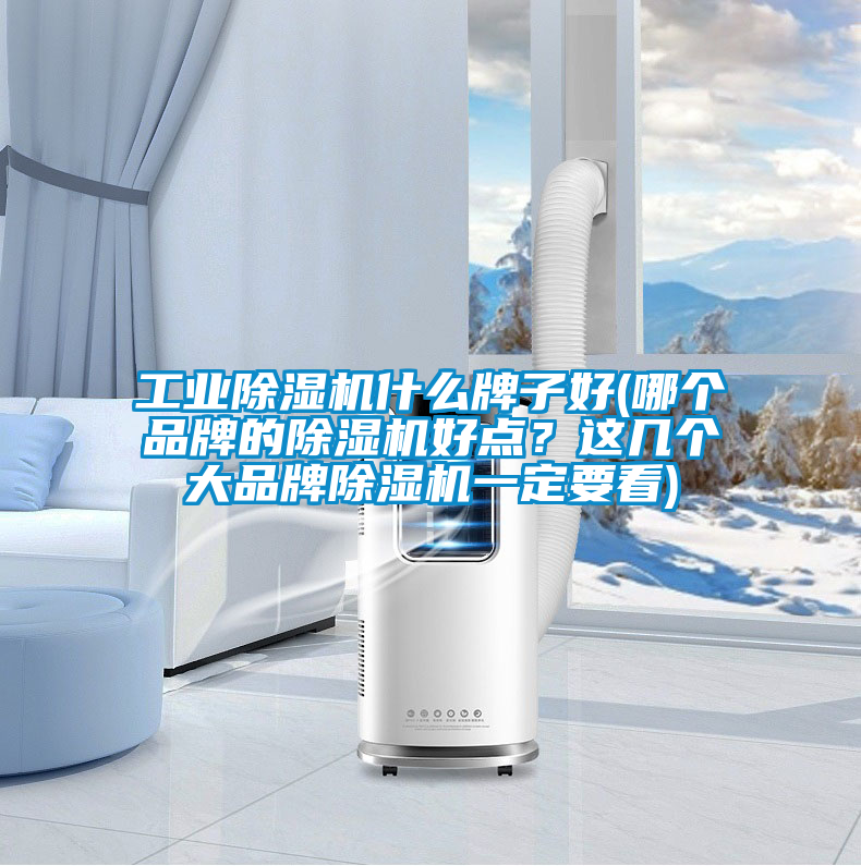 工業(yè)除濕機(jī)什么牌子好(哪個(gè)品牌的除濕機(jī)好點(diǎn)？這幾個(gè)大品牌除濕機(jī)一定要看)