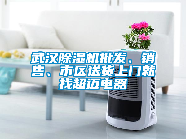 武漢除濕機(jī)批發(fā)、銷售、市區(qū)送貨上門(mén)就找超邁電器