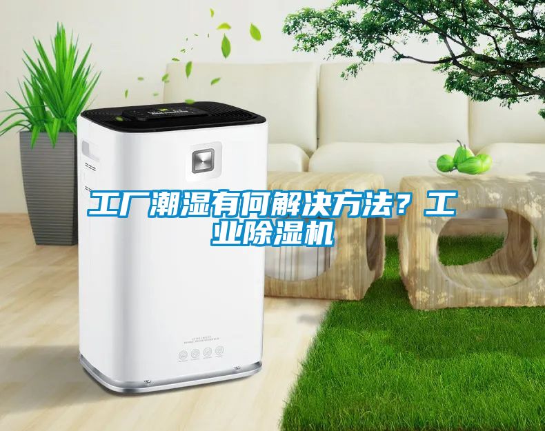 工廠潮濕有何解決方法？工業(yè)除濕機