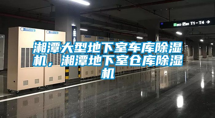 湘潭大型地下室車庫(kù)除濕機(jī)，湘潭地下室倉(cāng)庫(kù)除濕機(jī)