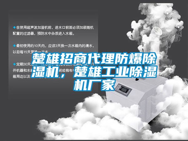 楚雄招商代理防爆除濕機(jī)，楚雄工業(yè)除濕機(jī)廠家