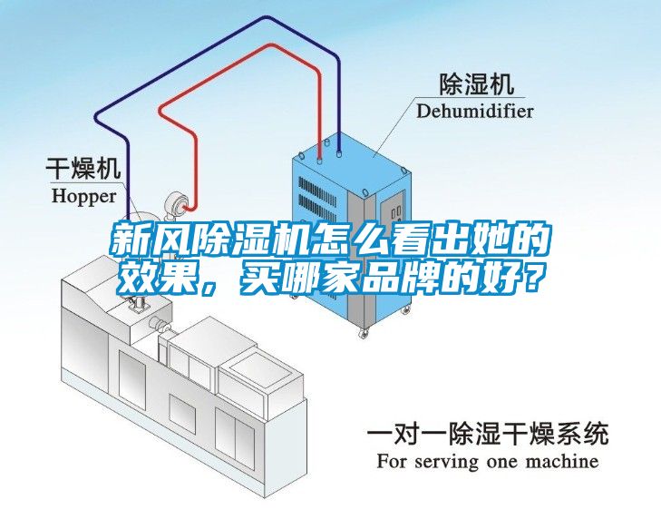 新風(fēng)除濕機(jī)怎么看出她的效果，買哪家品牌的好？