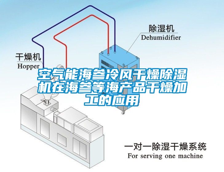 空氣能海參冷風(fēng)干燥除濕機在海參等海產(chǎn)品干燥加工的應(yīng)用