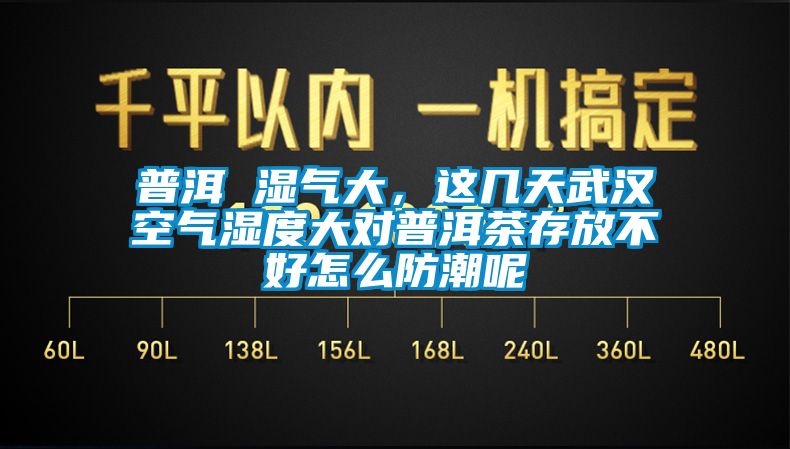 普洱 濕氣大，這幾天武漢空氣濕度大對普洱茶存放不好怎么防潮呢