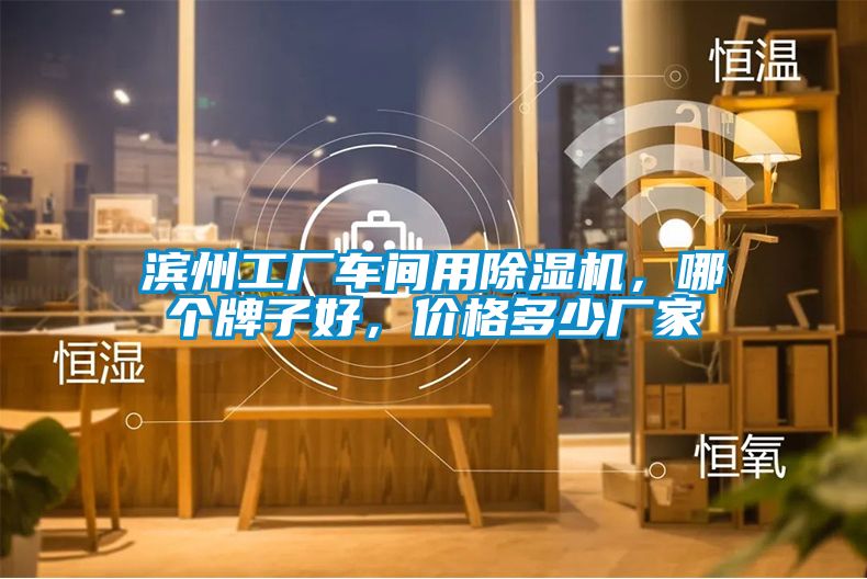 濱州工廠車間用除濕機，哪個牌子好，價格多少廠家